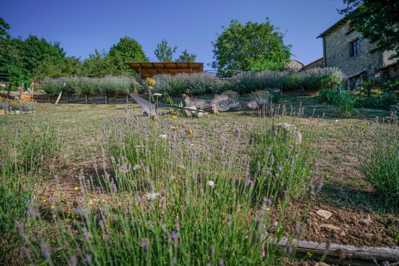 Agriturismo La Colombella Bagni San Filippo Eksteriør billede