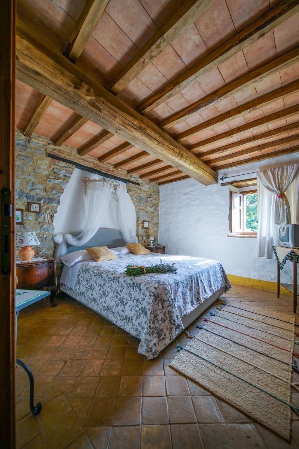 Agriturismo La Colombella Bagni San Filippo Eksteriør billede