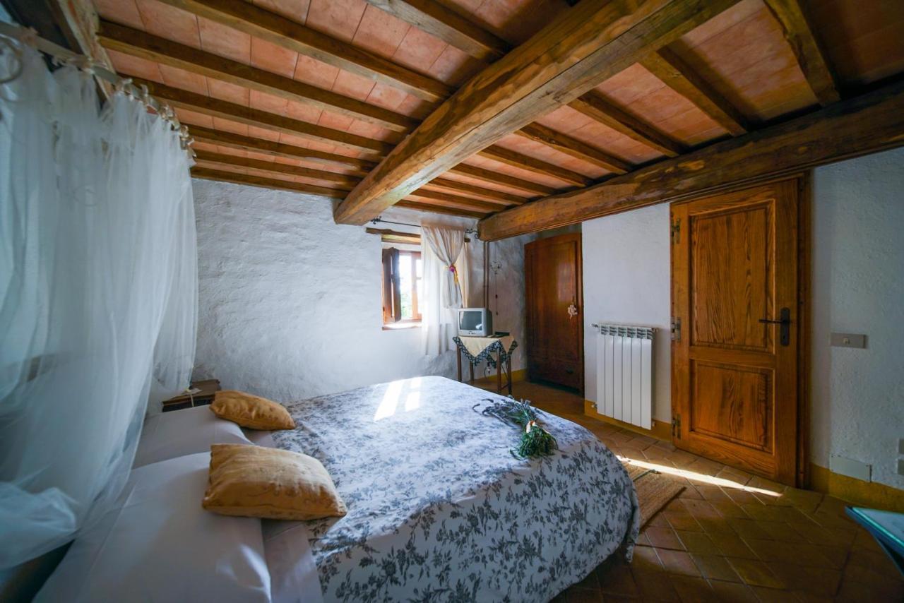 Agriturismo La Colombella Bagni San Filippo Eksteriør billede