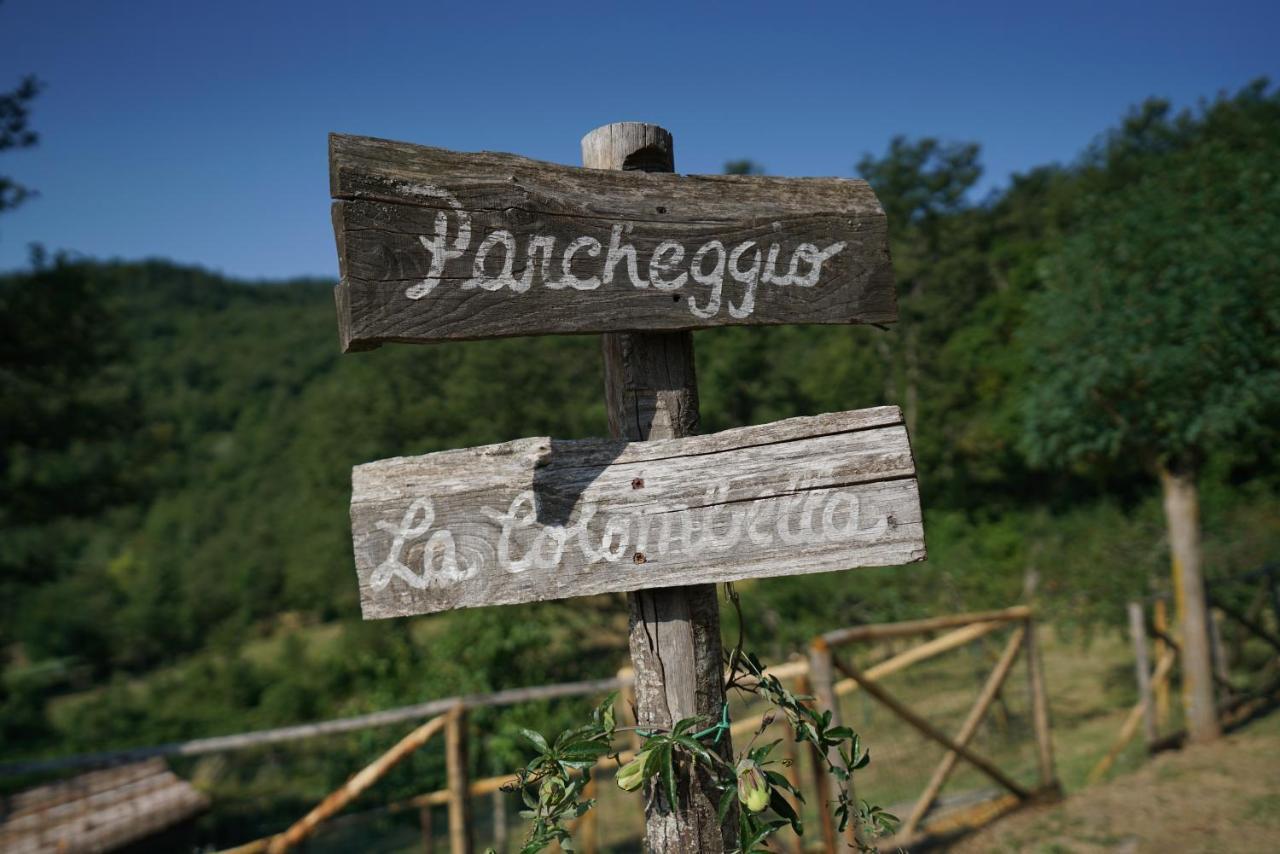 Agriturismo La Colombella Bagni San Filippo Eksteriør billede