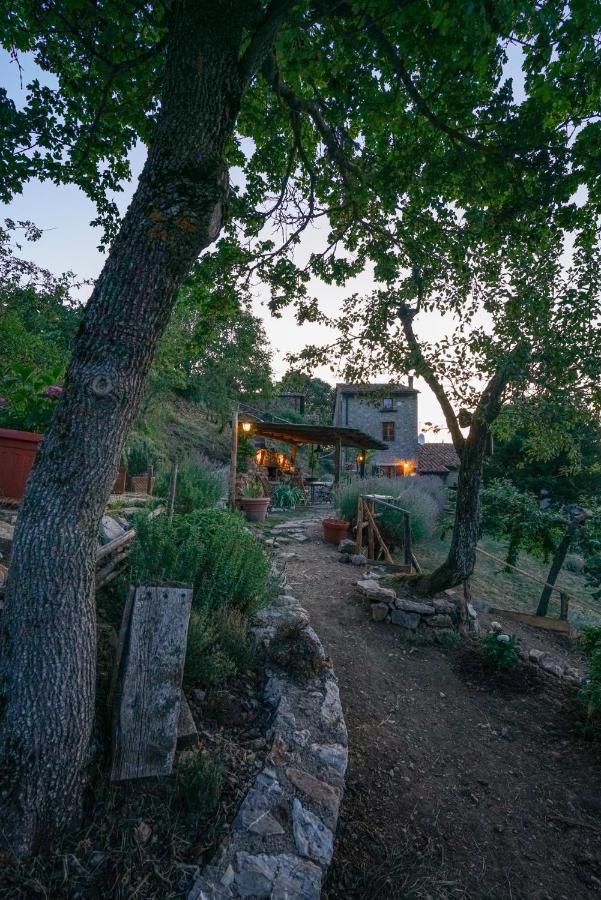 Agriturismo La Colombella Bagni San Filippo Eksteriør billede
