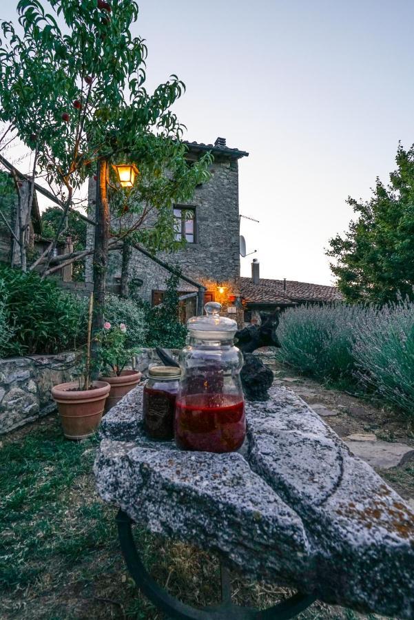 Agriturismo La Colombella Bagni San Filippo Eksteriør billede