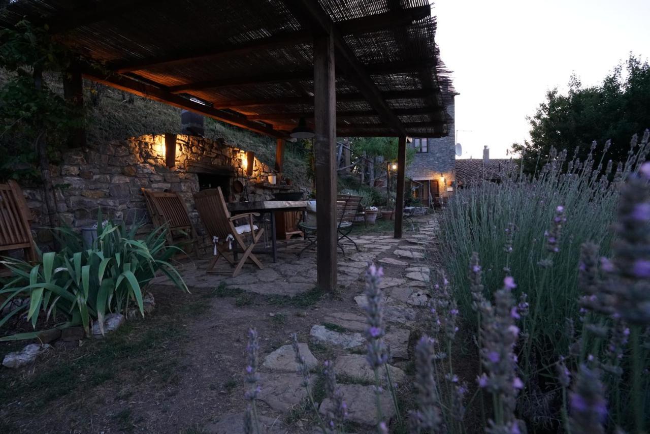 Agriturismo La Colombella Bagni San Filippo Eksteriør billede