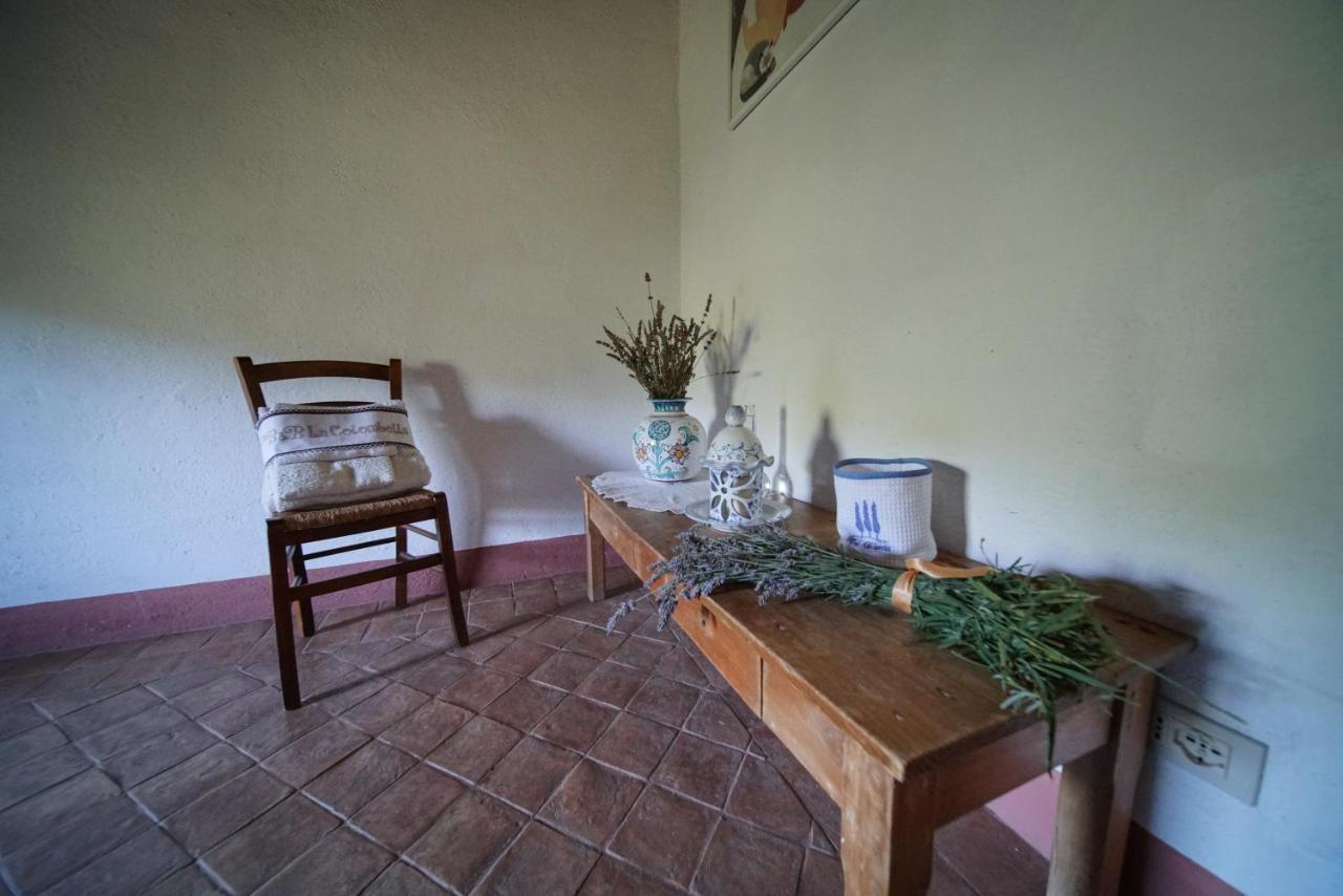 Agriturismo La Colombella Bagni San Filippo Eksteriør billede