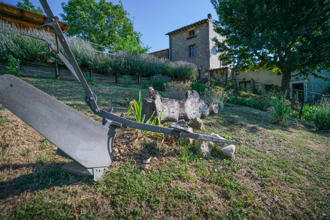 Agriturismo La Colombella Bagni San Filippo Eksteriør billede