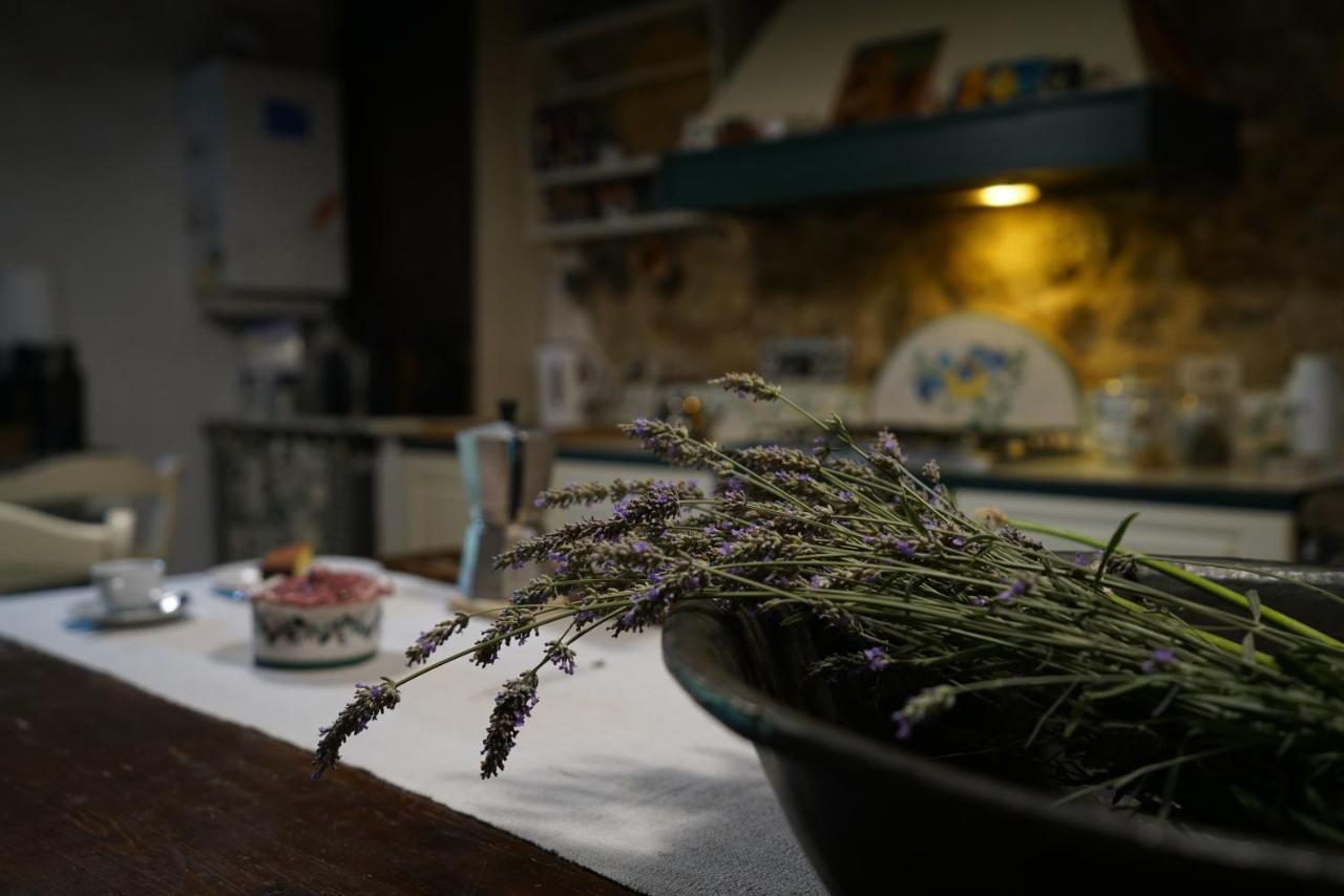 Agriturismo La Colombella Bagni San Filippo Eksteriør billede